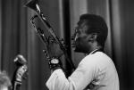 Miles Davis: Birth of the Cool - pokaz specjalny