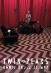 Tribute to David Lynch: Twin Peaks: Ogniu krocz ze mn (ASP)