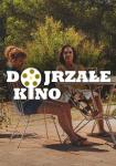 Dojrzałe Kino: Małe miłości