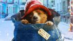 Paddington - pokazy przedpremierowe