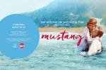 Klub Filmowy Wysokich Obcasw: Mustang (przedpremierowo!)